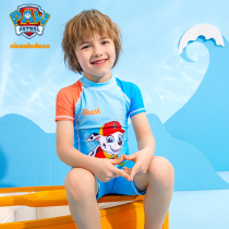Barking team childrens swimsuit Boys and girls one-piece sunscreen small and medium children baby 2021 new swimming suit