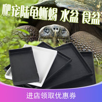 Reptilian food basin tortoise box basin crawl box food plate lizard horned frog guard Palace radiation feeding box pet drinking tray