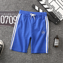 Childrens 5-point pants summer shorts boys cotton middle pants cotton shorts thin casual shorts new pants