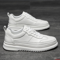 Real Leather Small White Shoes Mens Thick Bottoms 2022 New Trend Sports Mens Shoes Low Help Heightening Casual White Board Shoes Men