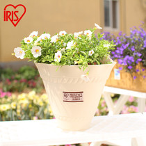 Alice semicircular wall-mounted resin flowerpot plastic thickened hanging orchid green pot