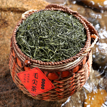 2022 New Tea Level Zhengzong Ming Former Mao Jian Tea Tender Bud Green Tea Tea Spring Tea Bulk Gift Box 500g