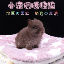 Large number of warm cotton cushion rabbit winter cold coral suede comfort and warm little darling universal