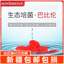boxwater Bot's New Babi Wheel Filter Material Microbial Carrier Filter Material Culture Nitrification Babylon Noise Reduction