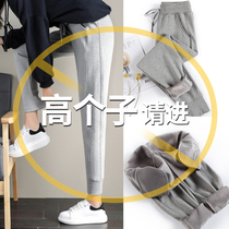 Velvet sweatpants relaxed feet spring and autumn leisure and thin gray tall and extended autumn winter foot radish pants