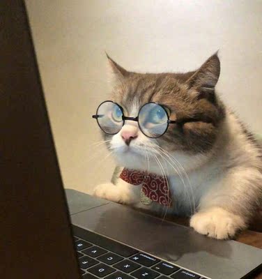 为什么不早买呢！？用起来很不错!