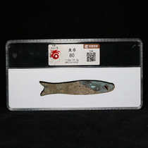 (Huaximei 80) Pre-Qin large-size fish coins old coins a gold hammer treasure auction q 652