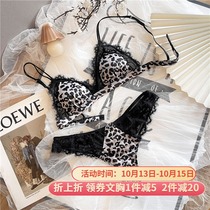 French light luxury BAO WEN triangle cup underwear set thin big chest small without steel ring thong Seduction bra