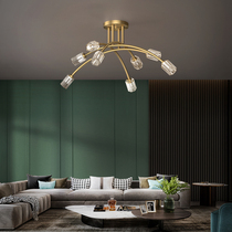 Real Beauty Residence Light Lavish Living Room Light Suction Dome Light Rear Modern Minimalist Full Copper Bedroom Water Crystal Light Creative Nordic Luminaire