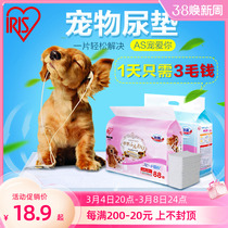 Alice Pet Diary Dog Teddy Dog with Pet Pad Teddy Alice Dog with urine Non-wet Pad