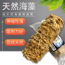 Natural seaweed cotton roller manually imported three-color pearlescent magic color dip flower point to shoot art paint tools boutique