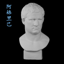 Agriba plaster like Aguliba plaster head ornaments high 58cm sketch still life sketching art supplies