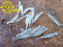 Shrimp simulation shrimp shrimp fake shrimp eco - bait bait - simulation of shrimp - rod shrimp - rod - nocturnal shrimp