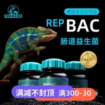 American Dogo reptile BAC gastrointestinal probiotic crawling pet tortoise chameleon horned frog mane lion rabbing refusal