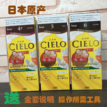 Japan Original HOYU Beauty Source Catharme Foam Dye Hair Pure Plant Lady White Hair With Dyed Hair Cream Brown