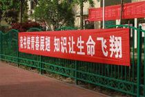 Banners banners printing pennants armbands flags hanging flags knife flags