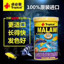 Jobik Jobik Three lakes Cichlid feed South American Cichlid Short snapper Egypt Colorful love life Three lakes aquarium