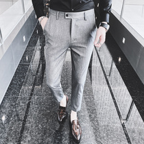 Rich bird trousers mens summer new Korean version trend casual elastic trousers slim fit all-match small feet nine-point pants