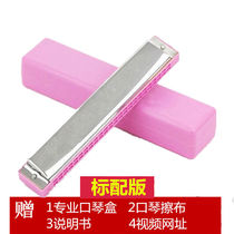Harmonica 24 holes beginners Senior children student oral organ male and female revoice c Tuning Adult Professional Playing Musical Instrument