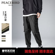 Taiping Bird Man Spring New Bright Wire Wear Pants Men's Tide Leg Pants Loose Leisure Pants Pants Pants Pants