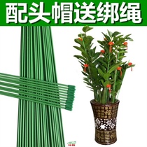 Wire used to tie flowers Lily rose bamboo money tree flower support iron wire fixed flower bracket potted stick stick