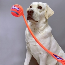 American Petmate Volley Club Pet Throws Ball Launches Pick Outdoor Toy Chuckit Dog Throwing Club