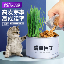 Cat Grass Seed Pot Lazy Cat Grass Canned Spare Seed Cat Mint Hydroponic Soil Grown Cat Grass