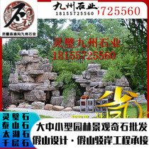 Horticultural Turtle Stone Green Garden Lin Engineering Professional Innovation