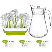 Set restaurant cold water Cup home Nordic water container hot and cold simple flower teapot summer cold boiling water kettle