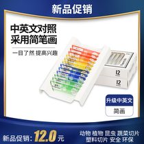 Biological microscope specimen section accessories plastic biological specimen section 1 box of 12 pieces for primary and secondary school students childrens Biosafety creative science experiment insects and plants