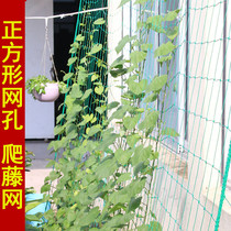 Square climbing rattan net Household gardening net Cucumber climbing plant gardening supplies edging reinforced locking edge