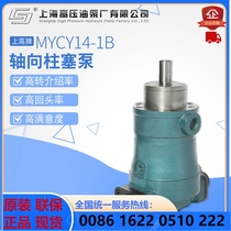 Shanghai High Voltage Oil Pump Factory is a high - plate 25MYCY14-1B axial Piston Pump grade variable 39 axis 32