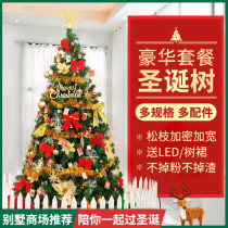 Christmas decoration Christmas tree package ornaments hotel shopping mall home Christmas scene decoration supplies set