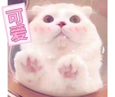 还没拆开，感觉应该很好