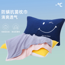 Pillow towel A pair of mite-resistant all-cotton gauze pillowcase 2022 new pillow towel