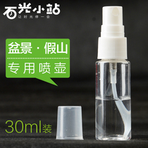 mini transparent small spray bottle for water absorbing stone above water stone fake mountain bonsai plants mini spray bottle