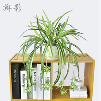 Green plant simulation ornaments placed in the living room new products special plant chlorophyte potted plastic fake flower orchid decoration set