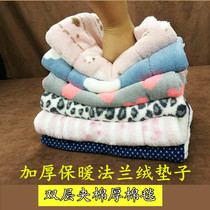 Pet Mat Winter Thickening Warm Plush Thick Blanket Ground Cotton Mat Sleeping Mat Kitty Winter Quilted Cat Dog Supplies