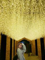 Net Red Waterfall Lights Flashing Lights Flashing Lights of the Seven Colorful Lights on the Tree Decorative Lights of the Stars