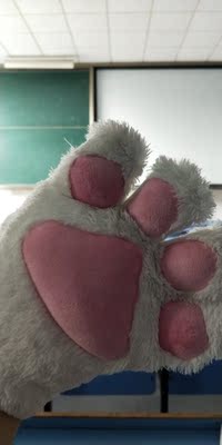 买来保暖的，收到的时候吓了一跳，**，好大一只，小伙伴们都惊呆了，保暖质量杠杠滴，作为一个要求保暖和颜值都要在线的妹纸来说，很奈斯了😏😏