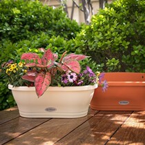 Wall hanging flowerpot Wall flowerpot hanging wall hanging meaty flowerpot pot pot semi-round hanging wall plastic hanging flowerpot