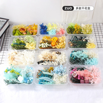 ZUO permanent flower dried flower diy material bag real flower natural air-dried candle fan photo frame decoration handmade flower bag