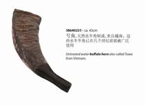 Derry Terre horn natural buffalo horn buffalo horn musical instruments imported high quality German brand