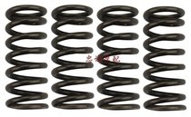 Taiwan FM valve spring battle BWS125 Fuxi RSZ ghost fire 4V Special booster valve spring