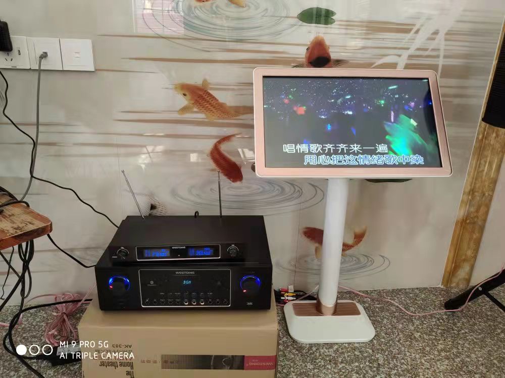 威斯汀音响怎么样，威斯汀音响是哪个国家的品牌