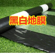 Black and white bicoloured mulch agricultural insulated weeding reflective silver black orchard Vegetable Medicinal Greenhouse Insect Proof Engineering Film