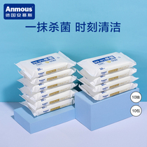 Amus child disinfection bacterial wett paper newborn baby student guards and carries a small bag for home use 10 packs