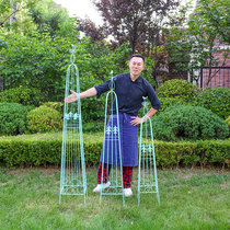 Mu Zi Ge courtyard clematis rose climbing vines to make old cone European style old gardening flower stand iron vines