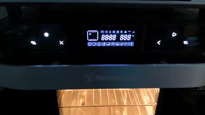 点评大伙说下美国西屋3001C蒸烤箱怎么样,烤东西好吃吗