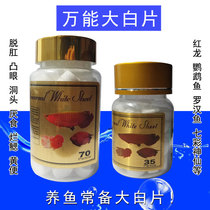 Big white tablet fish medicine head hole disease medicine fish medicine fish use big white slice parrot fish Luohan fish head hole special medicine